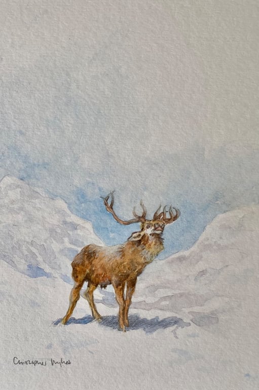 The Monarch . Original watercolour painting by Christopher Hughes 