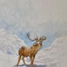 The Monarch . Original watercolour painting by Christopher Hughes 