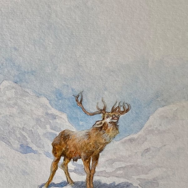 The Monarch . Original watercolour painting by Christopher Hughes 