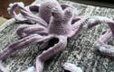 Crotcheted octopus collection