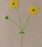 Embroidered Buttercup General Greeting Card - Image 6