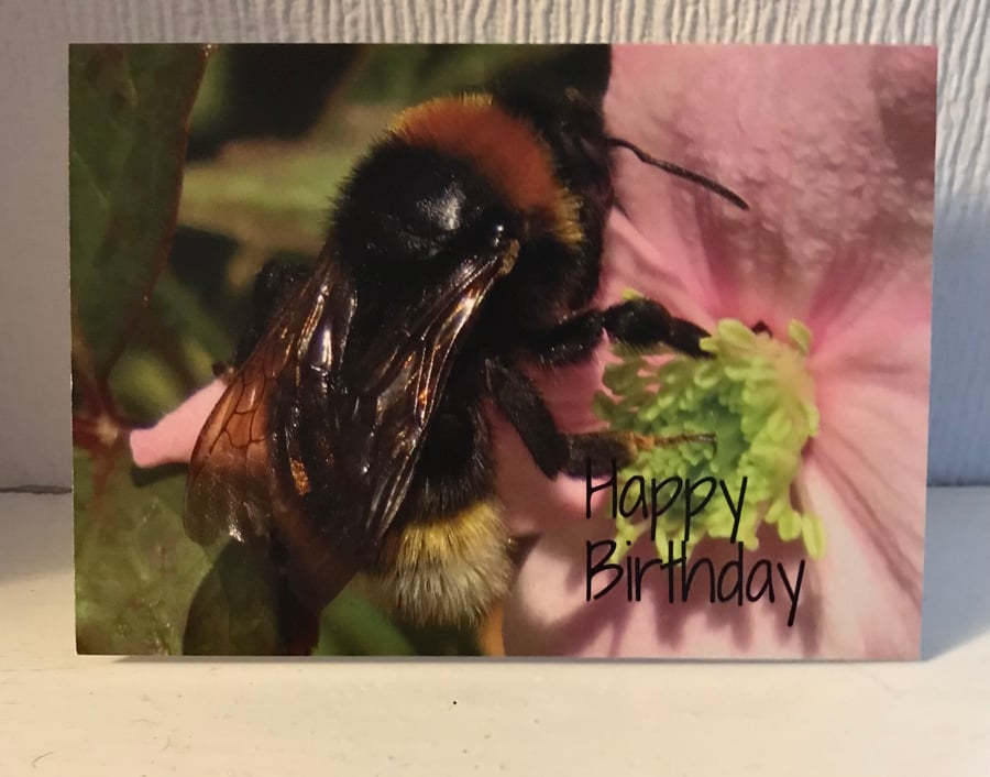 Bee greetings card 
