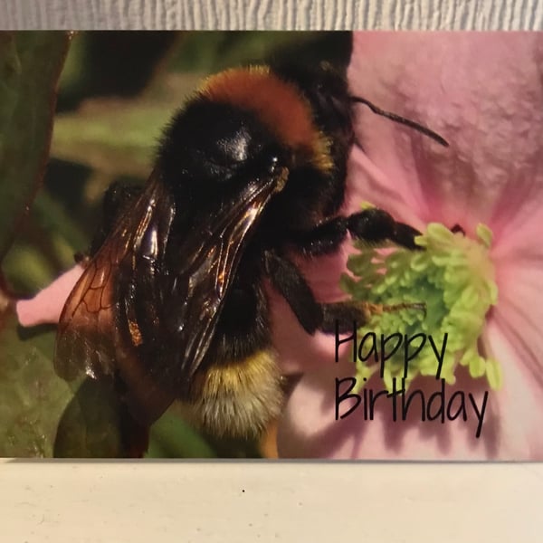 Bee greetings card 