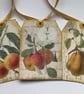 GIFT TAGS  ( set of 3 ) .Vintage -style  'Botanical Fruit . - Image 4