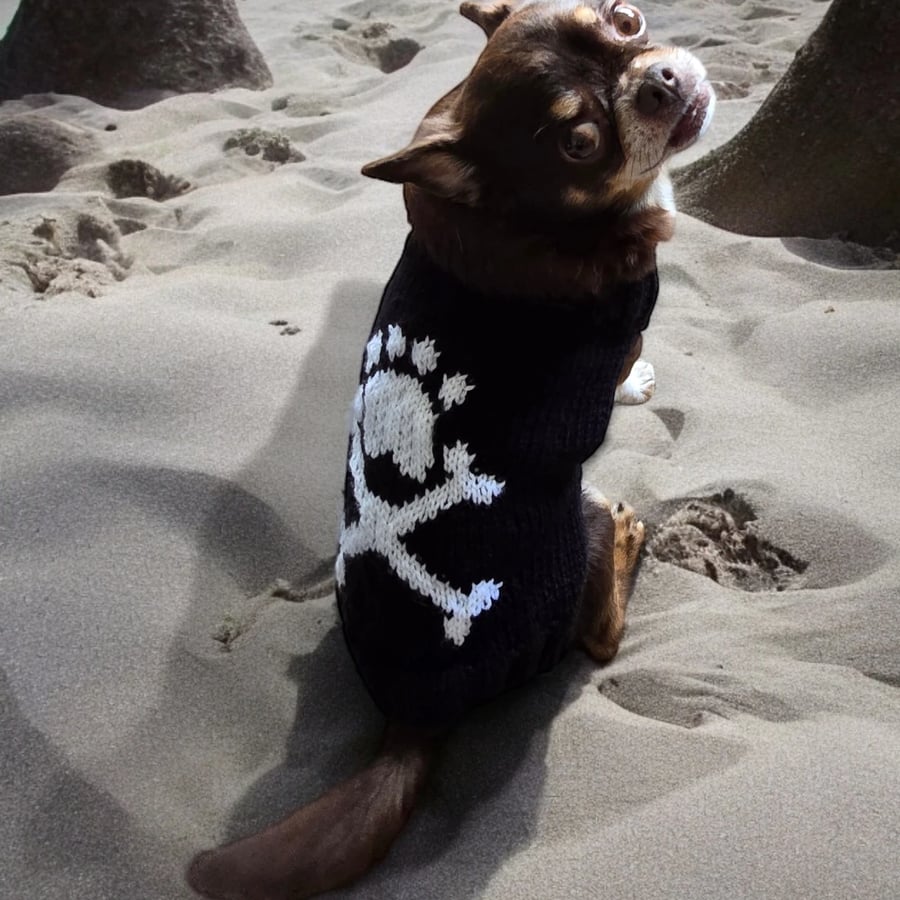 Handknitted pirate dog jumper size s