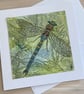 Hand painted dragonfly greetings card - Image 1