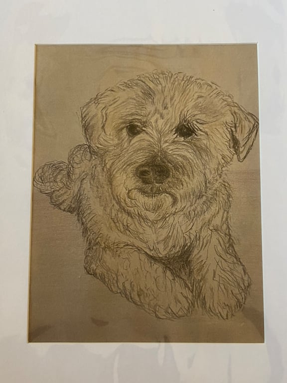 'Fetch' - The Best Westie Dog print
