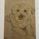 'Fetch' - The Best Westie Dog print