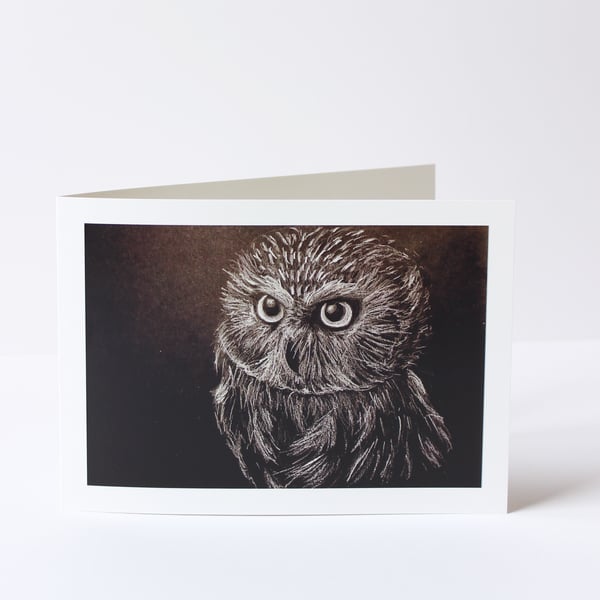 Owl Drawing Card