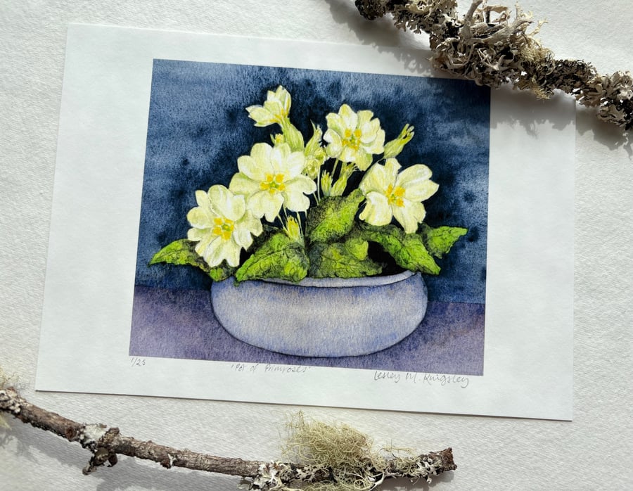 'Pot of Primroses' limited edition giclée print