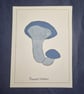 Mushroom Painting A5