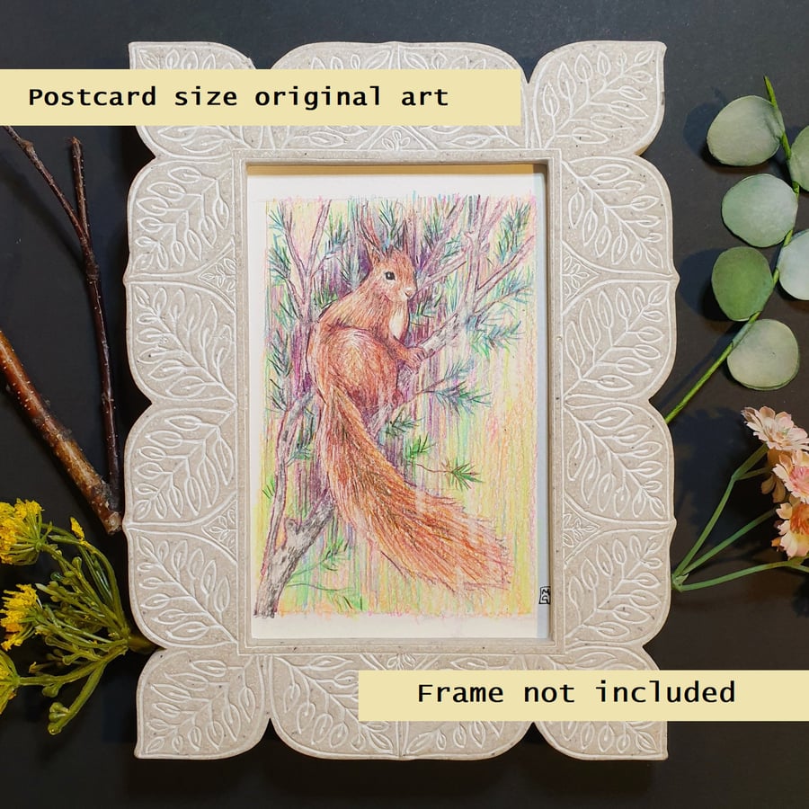 Red squirrel small drawing, letterbox gift original art, animal artwork
