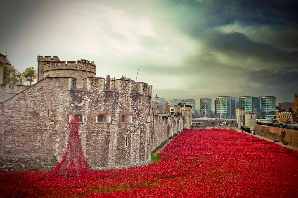 Tower Of London Red Poppies Poppy UK Photograph Print