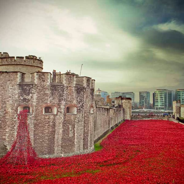 Tower Of London Red Poppies Poppy UK Photograph Print