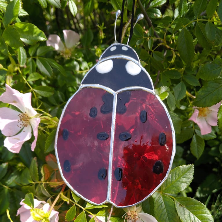 Stained glass ladybird, ladybug, window hanging