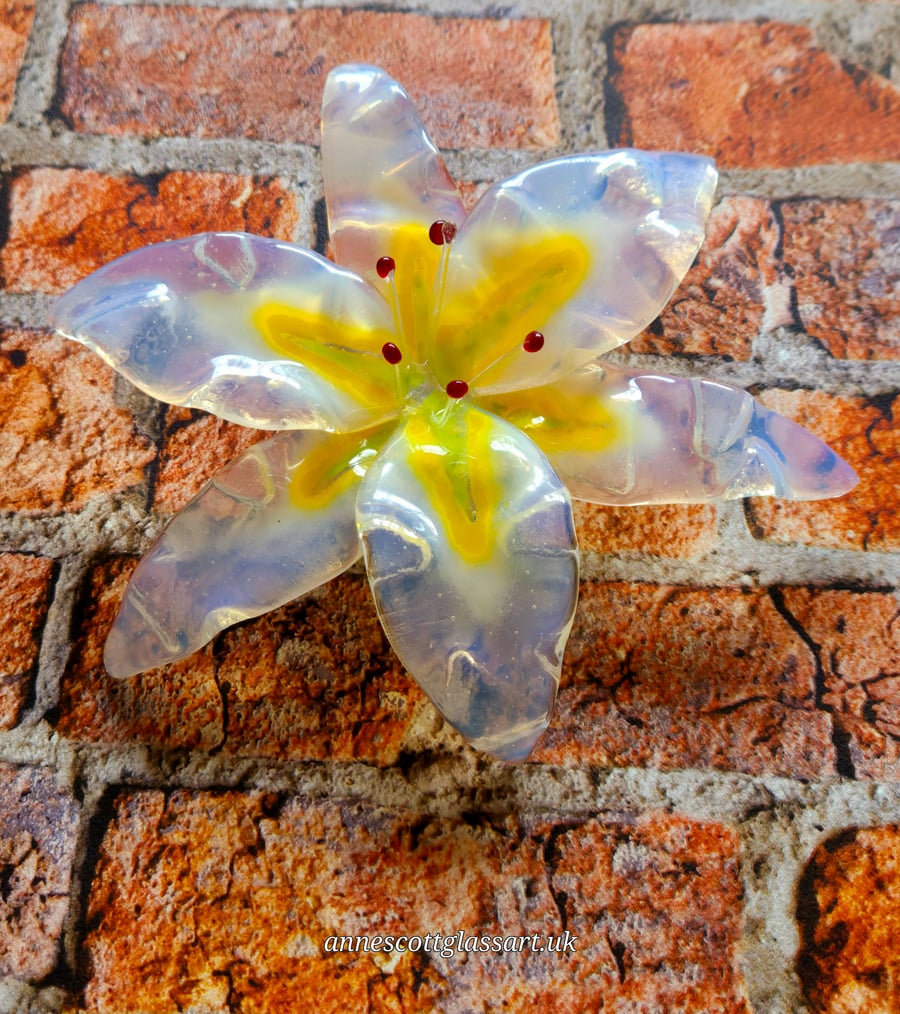 Handmade Fused Glass Opaline White and Yellow Lily 1 of 3 with Wall-mount