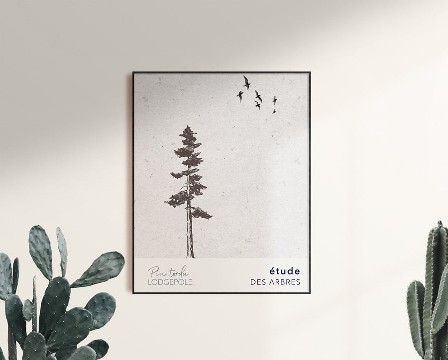 Lodgepole Tree Print