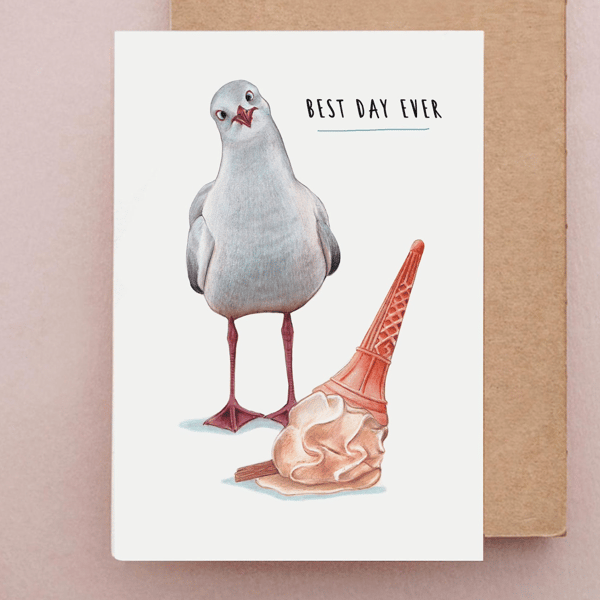 Funny Seagull Card - Cards For Him, Funny Birthday card, Funny Cards, Seaside