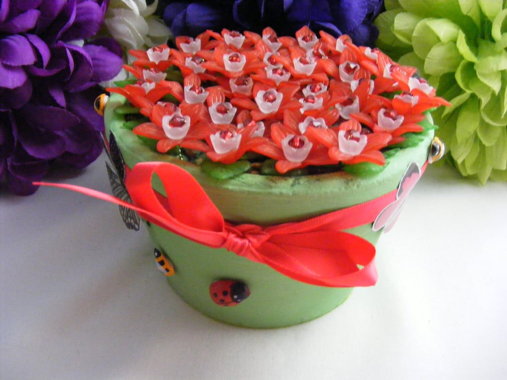 Red and White Fuchsia Flower Pot