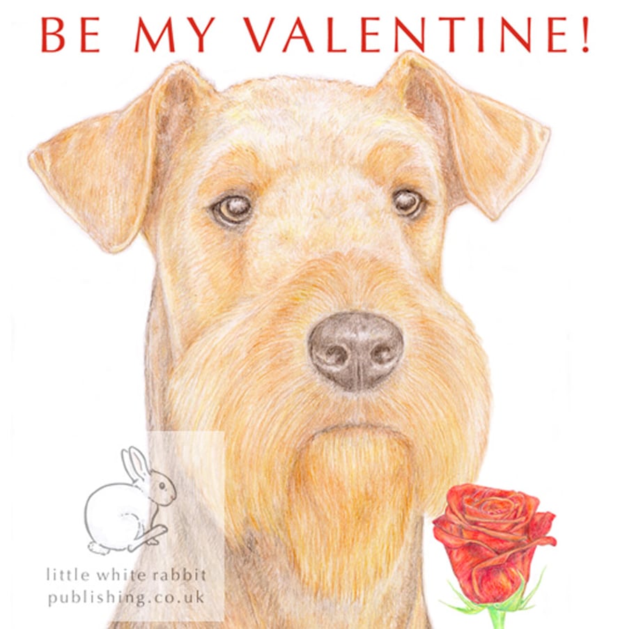 Angus the Airedale Terrier - Valentine Card