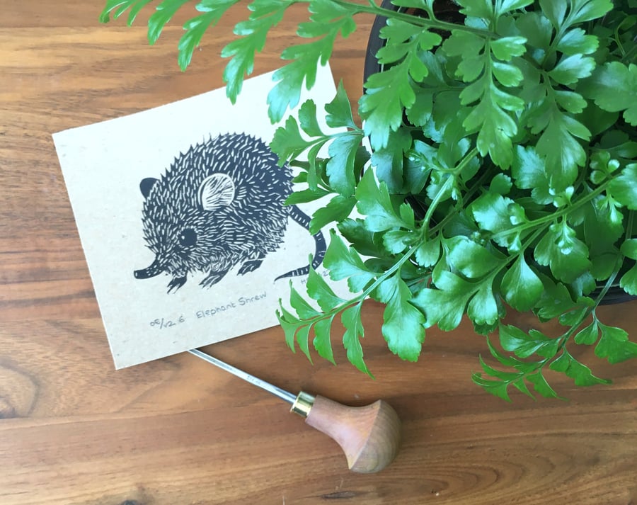 Elephant Shrew Linocut Print, original lino print on brown kraft paper