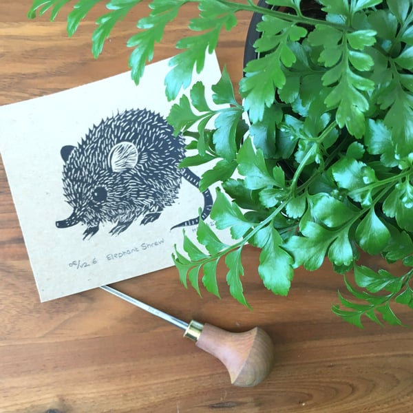 Elephant Shrew Linocut Print, original lino print on brown kraft paper