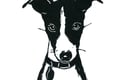 Whippet prints
