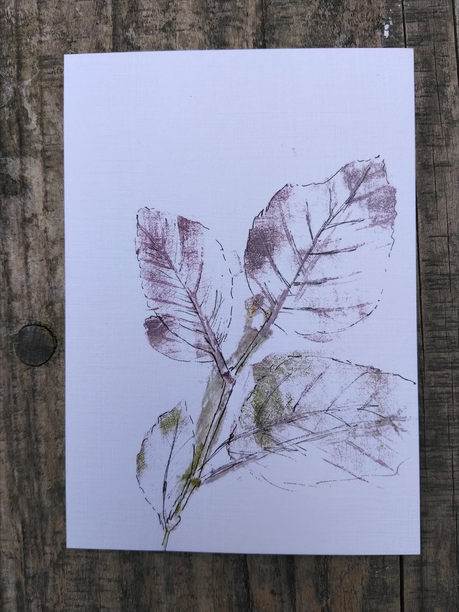 Beech leaves art