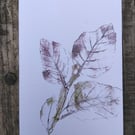 Beech leaves art