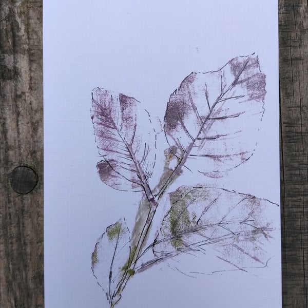 Beech leaves art