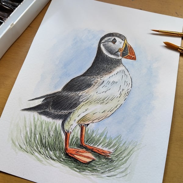 Watercolour Painting of a Puffin