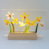 Daffodil illuminated light, fused glass art panel, led backlit glass daffodils, 