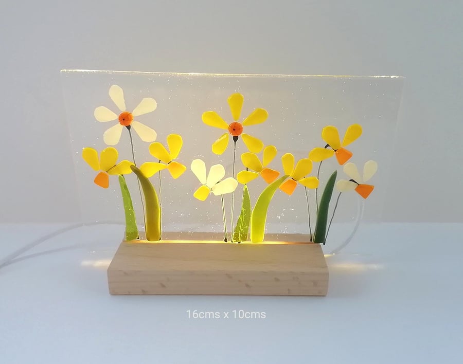 Daffodil illuminated light, fused glass art panel, led backlit glass daffodils, 