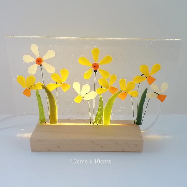 Daffodil illuminated light, fused glass art panel, led backlit glass daffodils, 