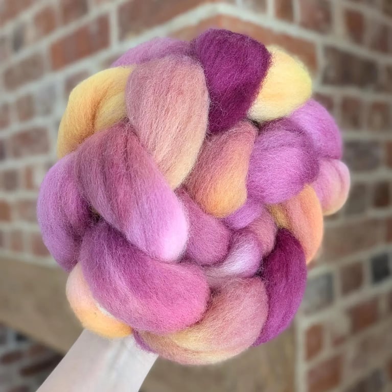 Hand Dyed Falklands Merino Top 99g Spinning Fibre - Bloom