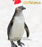 Exclusive Handmade Festive Penguin "Happy Christmas" Christmas Cards  - Image 2