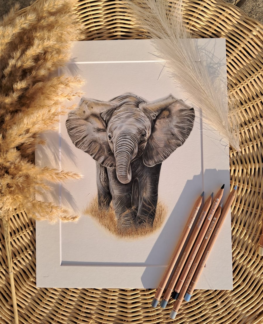 Baby ELEPHANT Drawing 