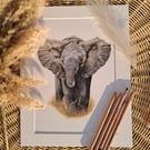 Baby ELEPHANT Drawing 