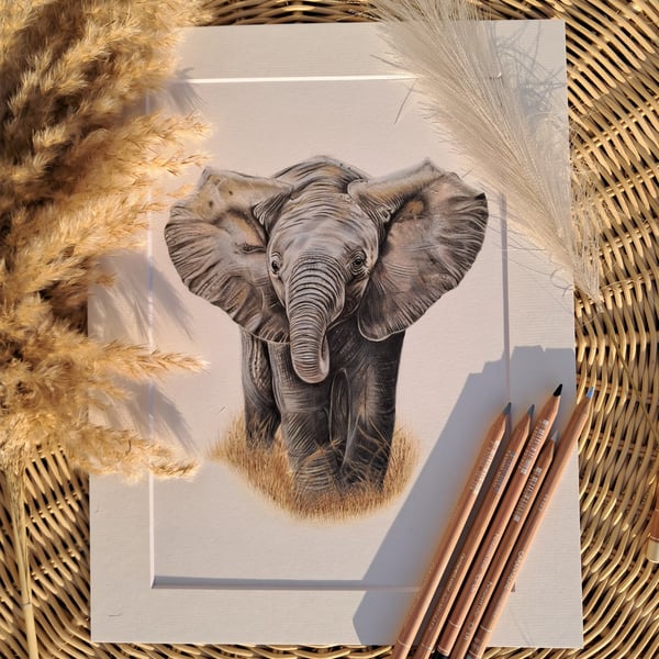 Baby ELEPHANT Drawing 