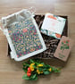 Italian Garden Thank You Gift Box Citrus and Herb Aromatherapy Wax Melts