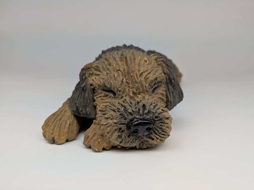 Large Border Terrier - Splat Pose