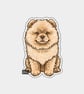 Funny Vinyl Sticker For Adults - Cute Dog Sitting