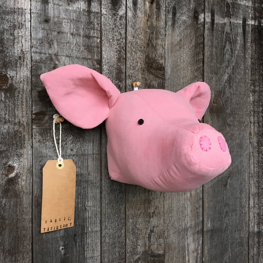 Wall mounted Pig head