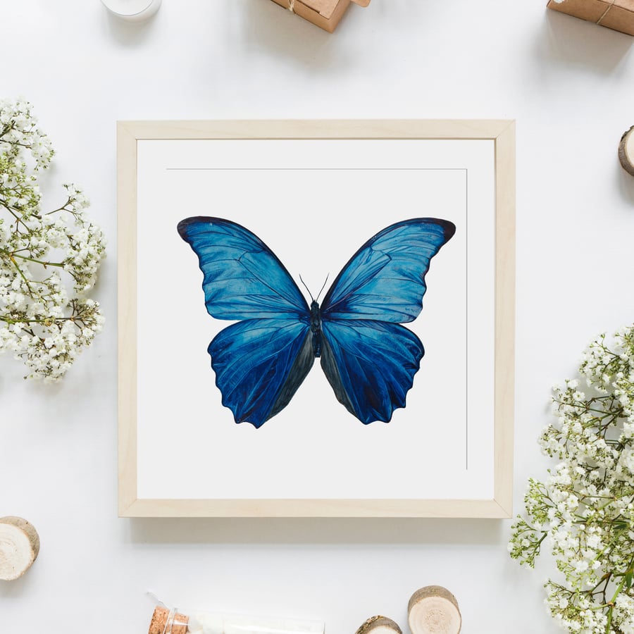 Blue Morpho Butterfly Giclée Print from Orginal Watercolour Artwork