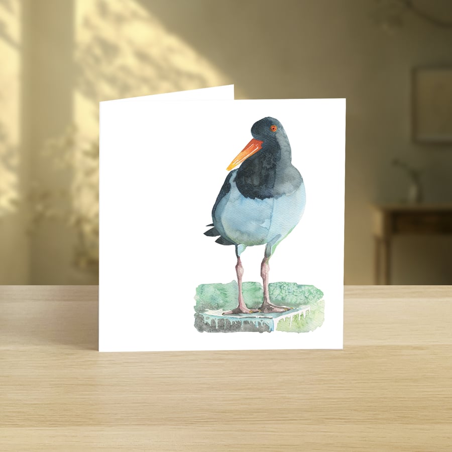 Oystercatcher greeting card (blank)