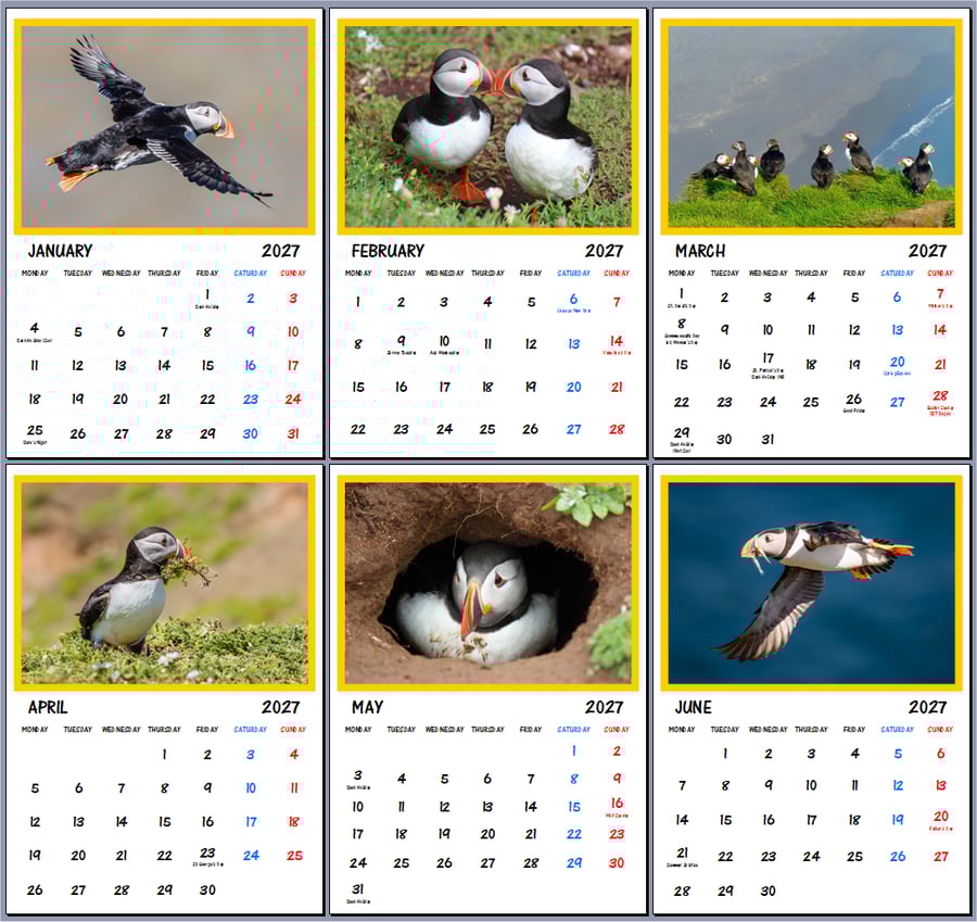 2027 Calendar Puffins A4 Page Per Month 