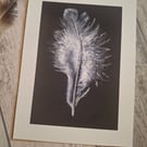 White feather drawing, Giclee prints, White on black print