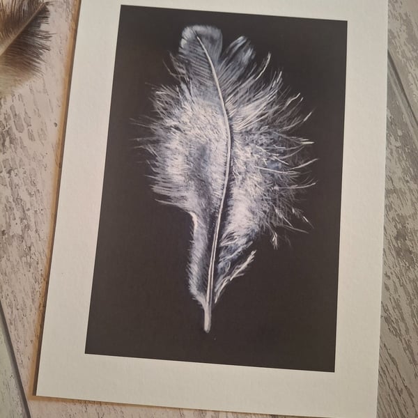 White feather drawing, Giclee prints, White on black print