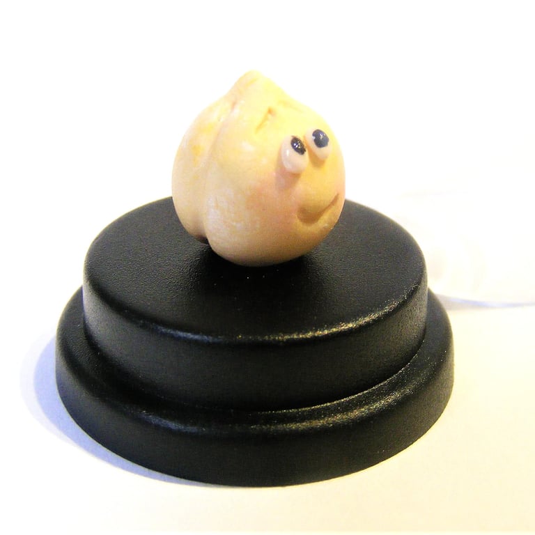 Pet Chickpea, Chick pea pet, Vegan gift, Vegetarian gift, Garbanzo