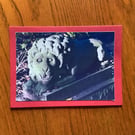 Handmade phot card of a Lion Statue in Northumberland Park